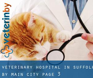 Veterinary Hospital in Suffolk by main city - page 3