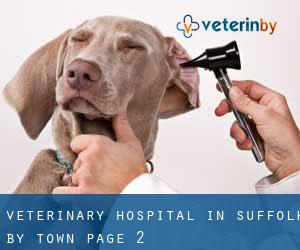 Veterinary Hospital in Suffolk by town - page 2