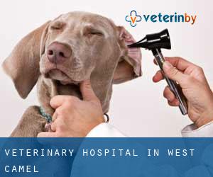 Veterinary Hospital in West Camel