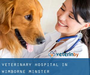 Veterinary Hospital in Wimborne Minster