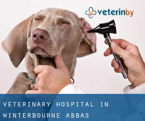 Veterinary Hospital in Winterbourne Abbas