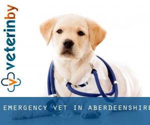 Emergency Vet in Aberdeenshire Emergency Vet in Aberdeenshire