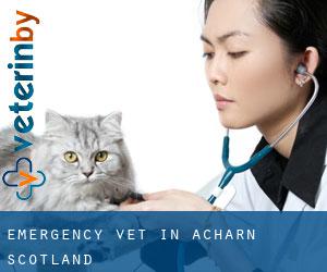Emergency Vet in Acharn (Scotland)