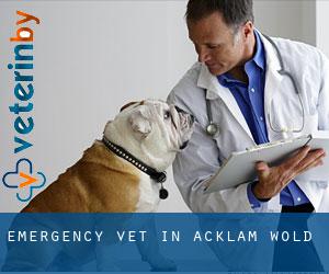 Emergency Vet in Acklam Wold