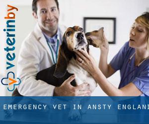 Emergency Vet in Ansty (England)