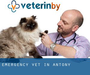 Emergency Vet in Antony