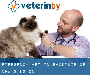 Emergency Vet in Backmuir of New Gilston