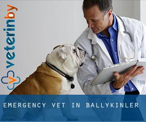 Emergency Vet in Ballykinler