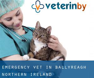 Emergency Vet in Ballyreagh (Northern Ireland)