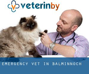 Emergency Vet in Balminnoch