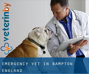 Emergency Vet in Bampton (England)