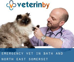 Emergency Vet in Bath and North East Somerset