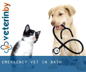 Emergency Vet in Bath