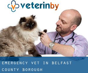 Emergency Vet in Belfast County Borough