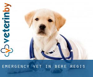 Emergency Vet in Bere Regis