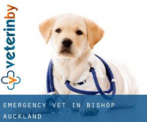Emergency Vet in Bishop Auckland Emergency Vet in Bishop Auckland