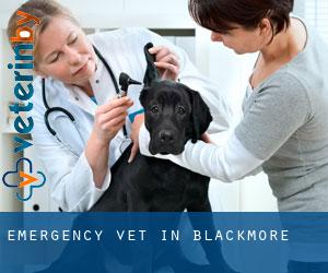 Emergency Vet in Blackmore