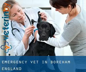 Emergency Vet in Boreham (England)