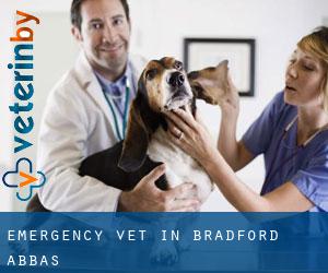 Emergency Vet in Bradford Abbas