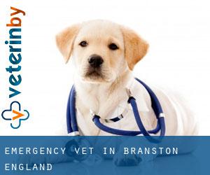 Emergency Vet in Branston (England)