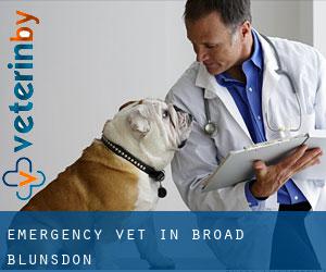 Emergency Vet in Broad Blunsdon