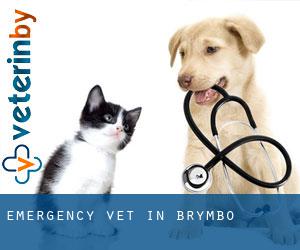 Emergency Vet in Brymbo