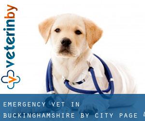 Emergency Vet in Buckinghamshire by city - page 4
