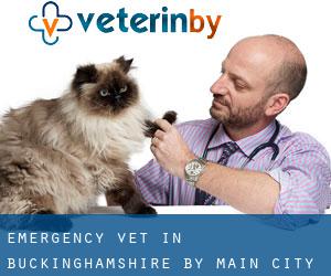 Emergency Vet in Buckinghamshire by main city - page 1