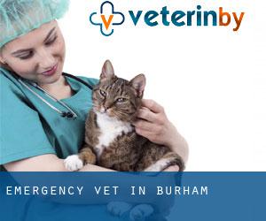 Emergency Vet in Burham