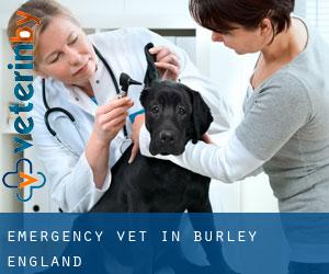 Emergency Vet in Burley (England)