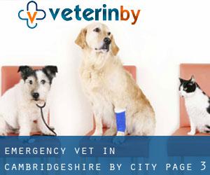 Emergency Vet in Cambridgeshire by city - page 3