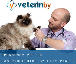 Emergency Vet in Cambridgeshire by city - page 4