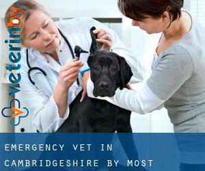 Emergency Vet in Cambridgeshire by most populated area - page 1