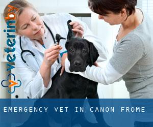 Emergency Vet in Canon Frome