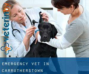 Emergency Vet in Carrutherstown