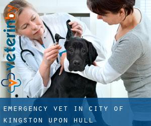 Emergency Vet in City of Kingston upon Hull