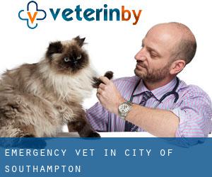 Emergency Vet in City of Southampton