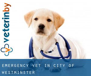 Emergency Vet in City of Westminster