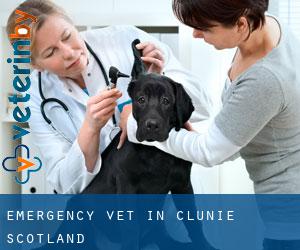 Emergency Vet in Clunie (Scotland)