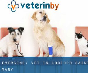 Emergency Vet in Codford Saint Mary