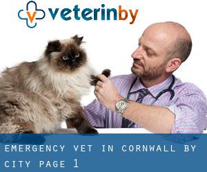 Emergency Vet in Cornwall by city - page 1