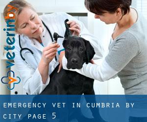 Emergency Vet in Cumbria by city - page 5
