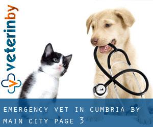 Emergency Vet in Cumbria by main city - page 3