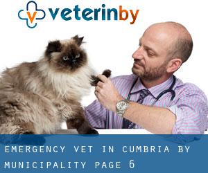 Emergency Vet in Cumbria by municipality - page 6
