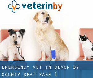 Emergency Vet in Devon by county seat - page 1