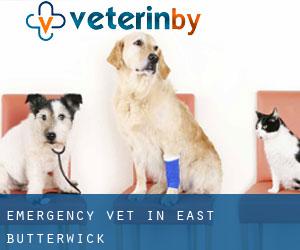 Emergency Vet in East Butterwick