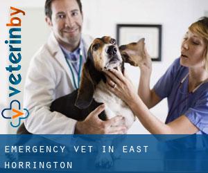 Emergency Vet in East Horrington Emergency Vet in East Horrington