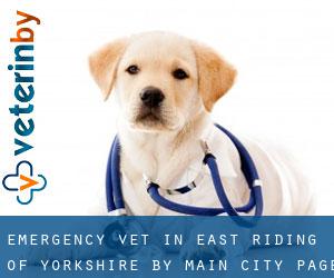 Emergency Vet in East Riding of Yorkshire by main city - page 3