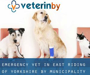 Emergency Vet in East Riding of Yorkshire by municipality - page 4