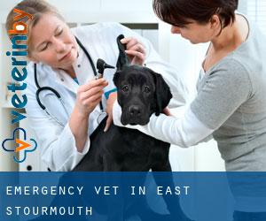 Emergency Vet in East Stourmouth